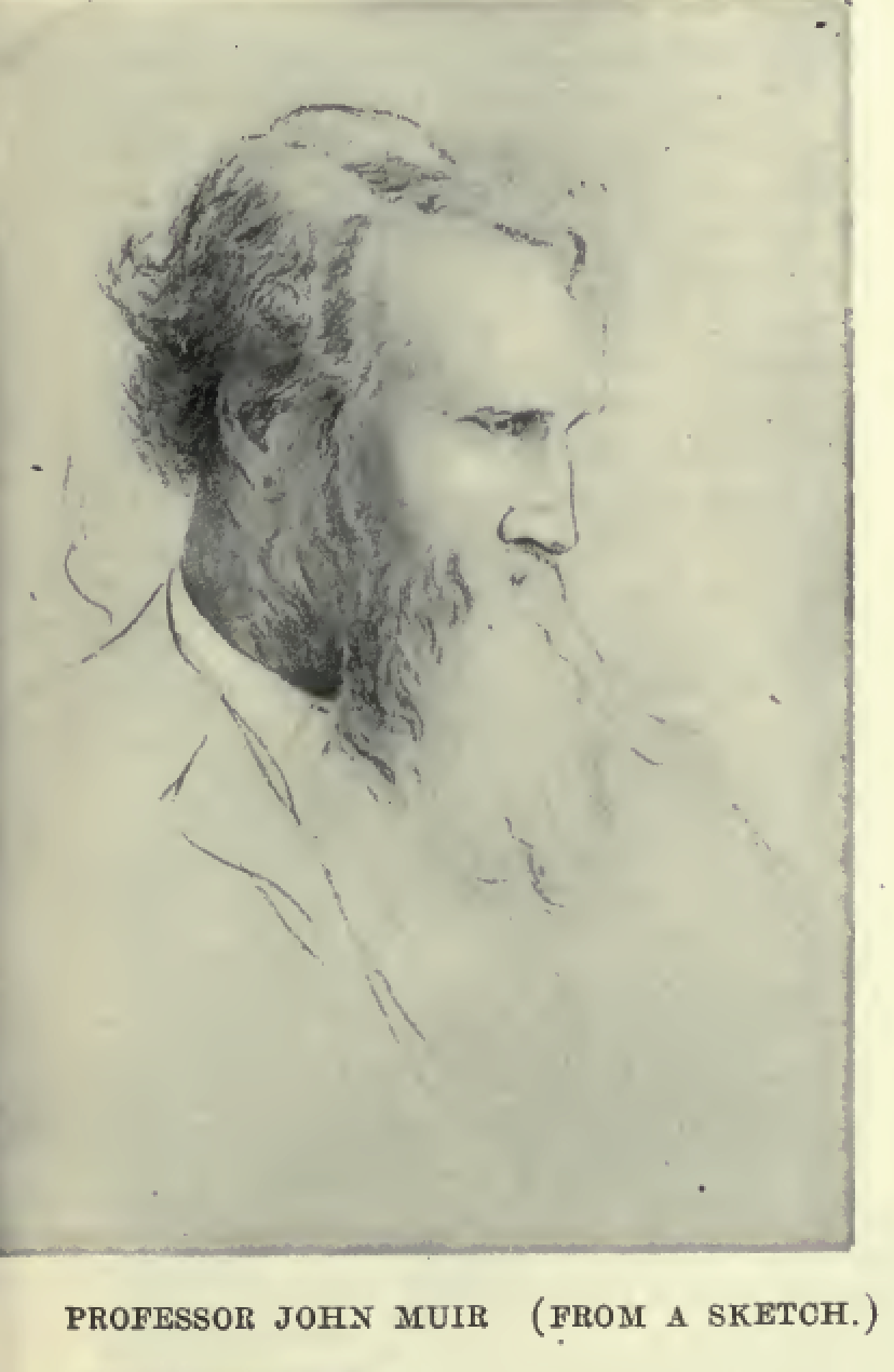 Sketch of Professor John Muir from Overland Monthly  Vol, 52, No. 2, August 1908, page 125